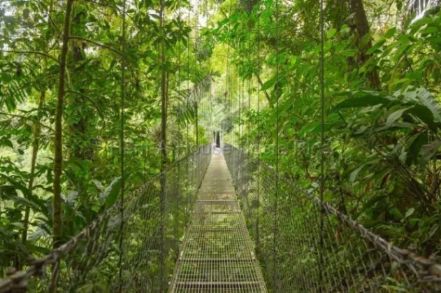 Terreno de 30 ha para desarrollo ecoturístico cerca del Caribe #26-1671 GS in Matama, Limón — $2,000,000