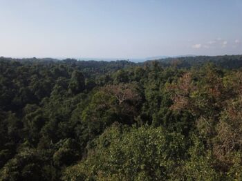 Venta de Lote en Osa Bahía-Drake, Puntarenas. en Bahía Drake, Osa, Puntarenas — $4,000,000 - Foto 4 de 11