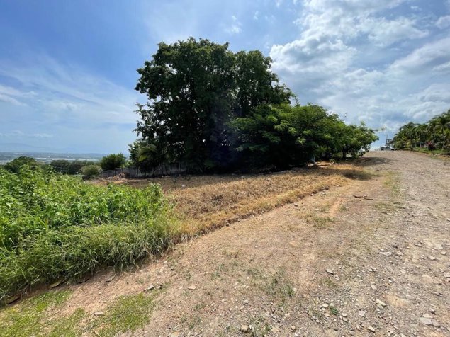 VENTA DE LOTE DE 600 M² | SAN MIGUEL DE BARRANCA, PUNTARENAS in Barranca, Puntarenas — $60,000 - Photo 3 of 8