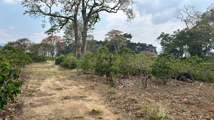 VENTA TERRENO DESARROLLO RESIDENCIAL, SAN JOSE, SAN PEDRO, SABANILLA in Sabanilla, Montes De Oca, San José — $6,080,400
