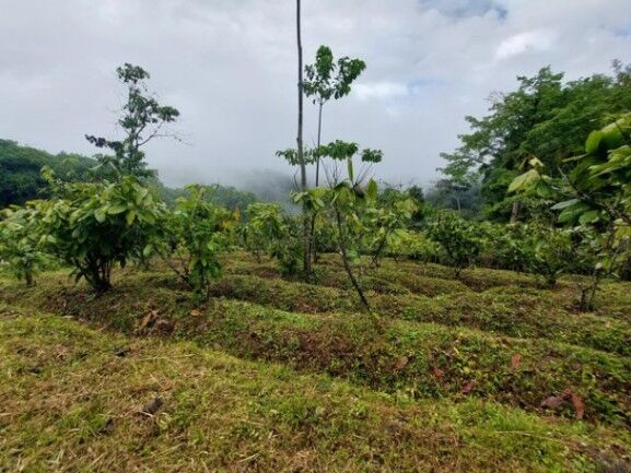 Venta de Finca en Turrialba-Peralta, Cartago. RAH 25-1184 in Peralta, Turrialba, Cartago — $350,000