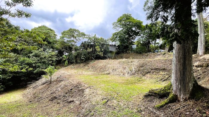 SE VENDE FINCA EN SAN MIGUEL, NARANJO en San Miguel, Naranjo, Alajuela — $890,000 - Foto 3 de 17