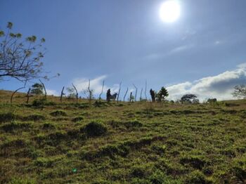 SE VENDE ESPECTACULAR FINCA EN BARÚ, PÉREZ ZELEDÓN.  en Barú, Pérez Zeledón, San José — $1,750,000 - Foto 4 de 20