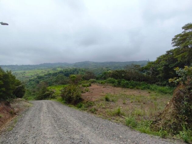 ¡Tú Oasis Privado te Espera en el Campo, San Francisco de San Ramón!  en Piedades Sur, San Ramón, Alajuela — ₡ 48 000 000
