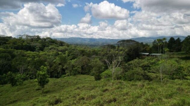 Finca Con Plantel Grande, Camino, Cabina, Potreros, Servicios Públicos in El General, Pérez Zeledón, San José — $220,000