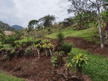  terreno  con 2 terrazas, son 1740 metros  en Tayutic, Turrialba, Cartago — 14 000 000 ₡ - Foto 4 de 13