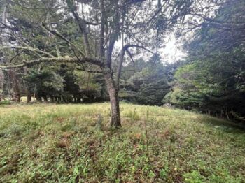 Venta de Lote en Barva-San José de La Montaña, Heredia. RAH 26-849 in San José de La Montaña, Barva, Heredia — $85,000 - Photo 5 of 6