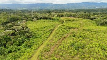 LOTES EN VENTA/ LOTS FOR SALE IN QUIZARRA en Cajón, Pérez Zeledón, San José — $70,000 - Foto 4 de 13