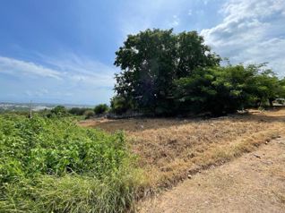 Venta de Lote de 600 M² | San Miguel de Barranca, Puntarenas