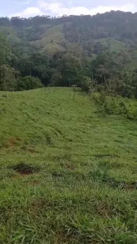 SE VENDE BELLA FINCA EN JAVILLOS, BUENOS AIRES, PUNTARENAS.  en Buenos Aires, Puntarenas — ₡ 25 000 000