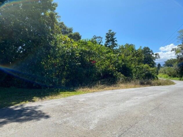 Finca en Venta en Grecia, Alajuela. RAH 235-1787 in Grecia, Alajuela — $250,000