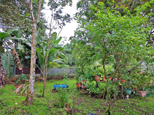 Hermosa Casa a 20 minutos de la Fortuna in Peñas Blancas, San Ramón, Alajuela — $135,000 - Photo 4 of 23