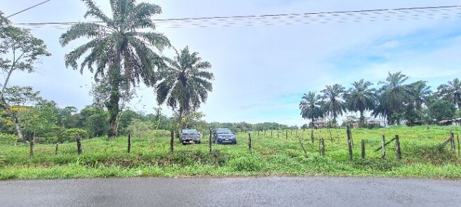 VENTA DE FINCA l SARAPIQUÍ, HEREDIA l PRECIO NEGOCIABLE. en La Virgen, Sarapiquí, Heredia — ₡ 197 500 000