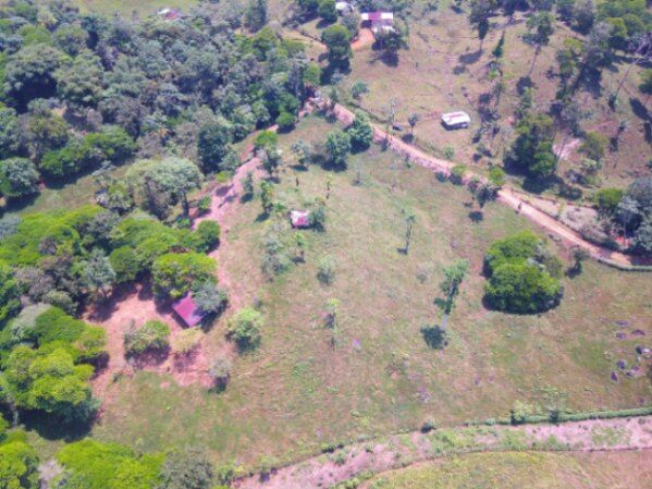 VENTA AMPLIA FINCA GUAPILES PARA GANADO PROYECTOS AGRICOLAS en Guápiles, Pococí, Limón — ₡ 76 800 000