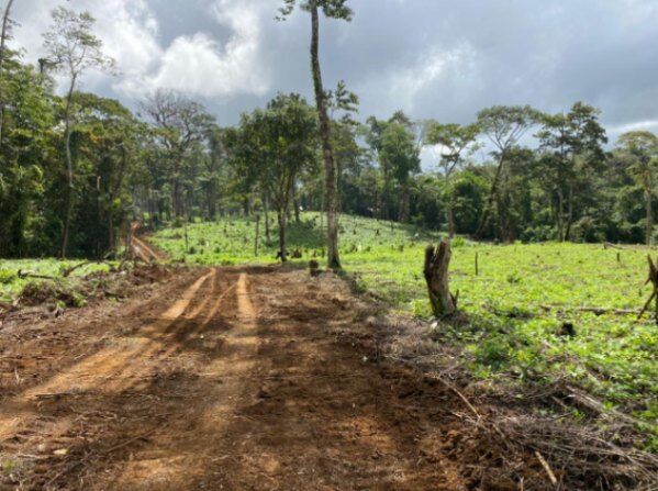Venta de Finca en Dos Ríos de Upala en Dos Ríos, Upala, Alajuela — ₡ 1