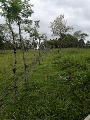 SE VENDE BELLA PROPIEDAD EN SABALITO, COTO BRUS.  in Sabalito, Coto Brus, Puntarenas — ₡ 40 000 000