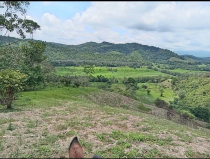 finca grande en la zona sur en Sierpe, Osa, Puntarenas — ₡ 1 500 000 000