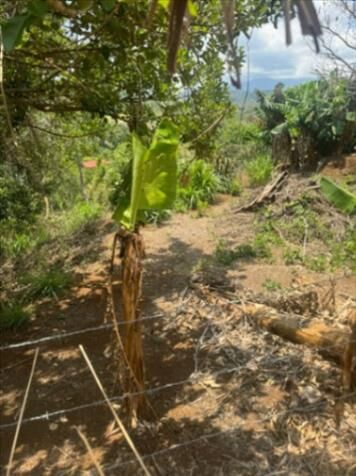 Venta de lotes! oportunidad! en Alajuela — ₡ 15 000 000