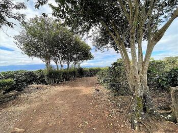 Finca en Venta Concepción, San Rafael, Heredia