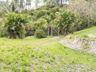Se Vende Finca 31801 m2, Santa Ana in Uruca, Santa Ana, San José — $1,115,000 - Photo 4 of 8