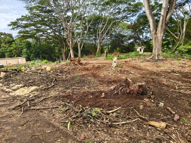 VENDO BELLO LOTE EN DERECHO EN EL CACAO DE ALAJUELA. en Alajuela — ₡ 15 000 000