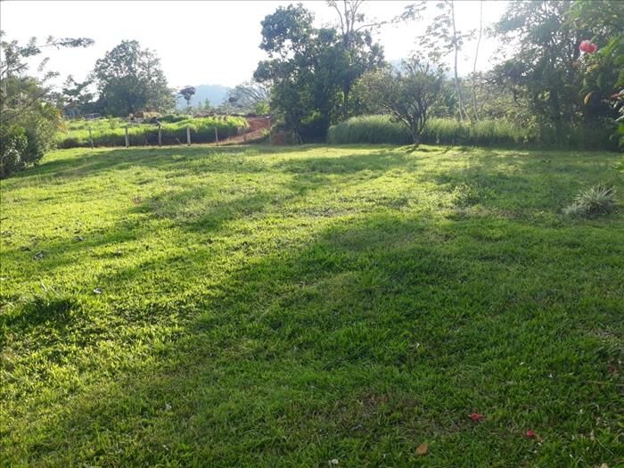 SE VENDEN 2 BELLOS LOTES EN BIJAGUAL, TURRUBARES. en Carara, Turrubares, San José — ₡ 15 000