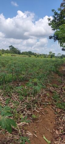 Finca ubicada en Luisiana de Siquirres in El Cairo, Siquirres, Limón — ₡ 75 000 000