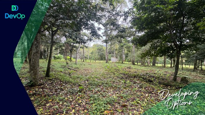 Venta de terreno en Los Bajos Atenas. en Atenas, Alajuela — ₡ 64 000 000