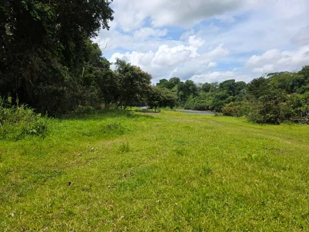 Finca de 4 hectáreas en Horquetas de Sarapiquí in Puerto Viejo, Sarapiquí, Heredia — ₡ 100 000 000