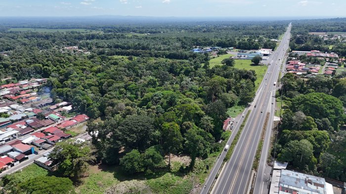 VENTA DE FINCA ALTA DENSIDAD Y COMERCIAL, LIMÓN, GUÁPILES en Guápiles, Pococí, Limón — $574,600