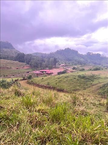 VENTA DE FINCA GANADERA, CARTAGO, TURRIALBA, TRES EQUIS en Turrialba, Cartago — $4,732,300