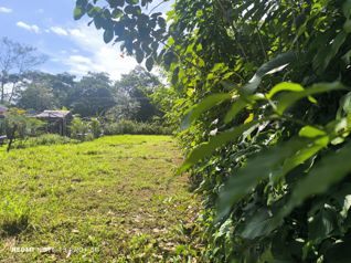 Lote en venta en San Ramon, cerca de la Fortuna, plano en Peñas Blancas, San Ramón, Alajuela — $20,000 - Foto 5 de 30