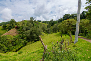 VENTA DE FINCA, CARTAGO, CARTAGO, LLANO GRANDE en Llano Grande, Cartago — 225 000 000 ₡ - Foto 4 de 9