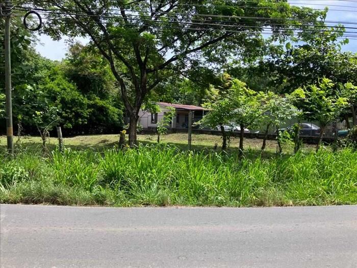 BELLA Y ÚTIL PROPIEDAD EN RÍO GRANDE DE ATENAS. en Atenas, Alajuela — ₡ 72 000 000