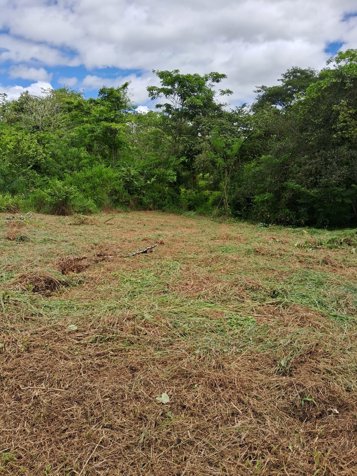TERRENOS,EN UPALA, ALAJUELA in Upala, Alajuela — ₡ 5 500 000