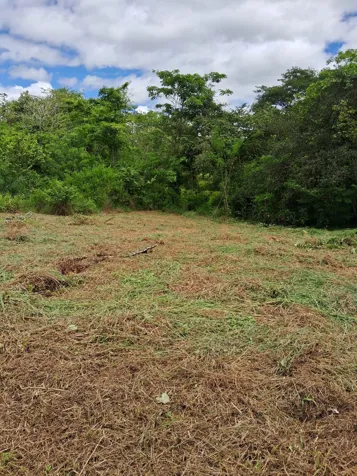 TERRENOS,EN UPALA, ALAJUELA en Upala, Alajuela — ₡ 5 500 000