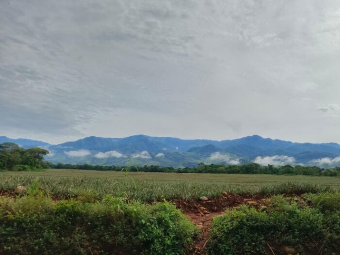Venta lote en Volcán de Buenos Aires, Puntarenas. RAH 25-1929 in Volcán, Buenos Aires, Puntarenas — ₡ 26 000 000
