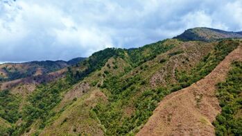 FINCA HERRADURA EN VENTA: 100.6 HA DE RESERVA HIDRICA Y FORESTAL EN EL CHIRRIPO en Rivas, Pérez Zeledón, San José — $2,200,000 - Foto 5 de 12