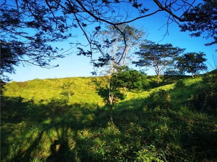 VENTA DE FINCA, PUNTARENAS, MONTAÑA GRANDE, LEPANTO en Lepanto, Puntarenas — $210,000
