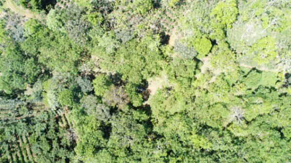 Quinta de 1.2 hectares en Quizarra, Cajon en Cajón, Pérez Zeledón, San José — $135,000