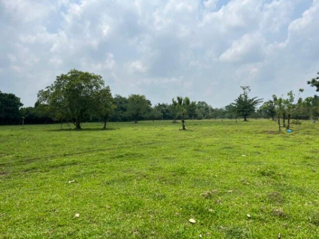SE VENDE BELLA FINCA EN SAN RAFAEL DE GUÁPILES.  en La Colonia, Pococí, Limón — ₡ 13 000 000