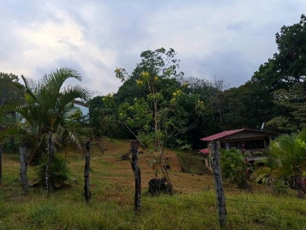 Quinta en el corazón de la tranquilidad  in Picagres, Mora, San José — ₡ 100 000 000