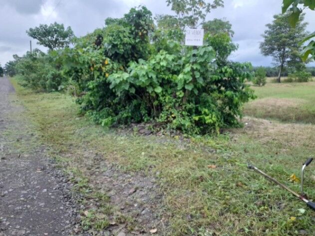 VENTA DE LOTE en Parrita, Puntarenas — ₡ 12 000 000