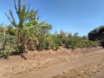 Se vende amplio lote de 5000m2 en Santo Tomas Heredia 25-438 in Santo Tomás, Santo Domingo, Heredia — 100 000 000 ₡ - Photo 5 of 21