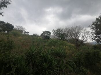 SE VENDE BELLA FINCA EN SAN JUANILLO DE NARANJO, ALAJUELA  en San Miguel, Naranjo, Alajuela — 240 000 000 ₡ - Foto 5 de 17