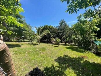 VENTA DE LOTE MIXTO Y ALTA DENSIDAD, ALAJUELA, OROTINA CENTRO in Coyolar, Orotina, Alajuela — 70 000 000 ₡ - Photo 4 of 7