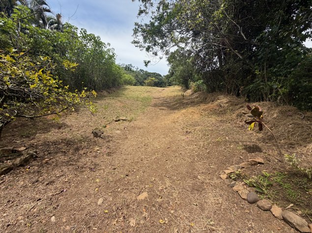 Lote de 12.297 m² en el clima más fresco del Barrio Jesús de Atenas. in Atenas, Alajuela — $185,000