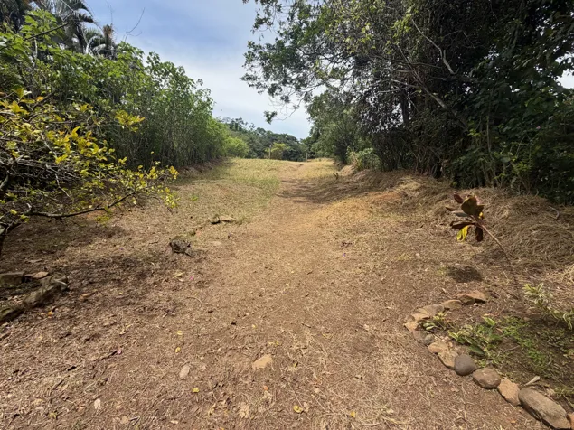 Lote de 12.297 m² en el clima más fresco del Barrio Jesús de Atenas. in Atenas, Alajuela — $185,000