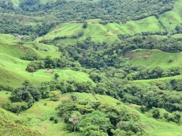 Finca de Ensueño Buenos Aires de Puntarenas – 188 hectáreas con vista al mar. in Colinas, Buenos Aires, Puntarenas — $1,400,000