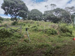 Lote Abangares, Guanacaste en Las Juntas, Abangares, Guanacaste — 35 000 000 ₡ - Foto 5 de 7
